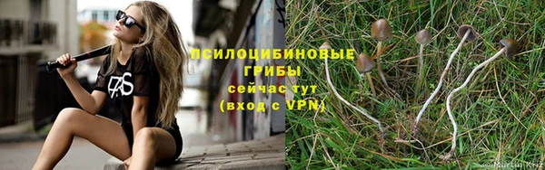 MDMA Premium VHQ Володарск