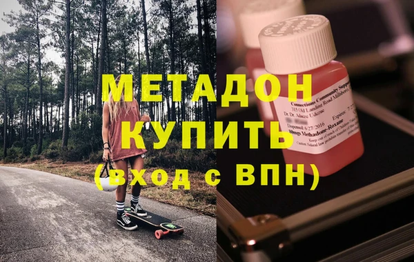 шишки Верея