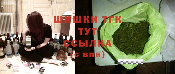 дживик Новозыбков