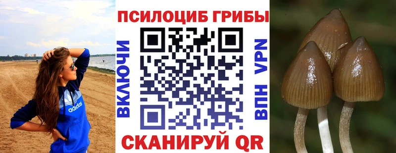 Псилоцибиновые грибы GOLDEN TEACHER Жирновск